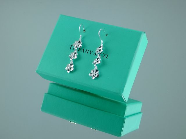 tiffany Earrings-145